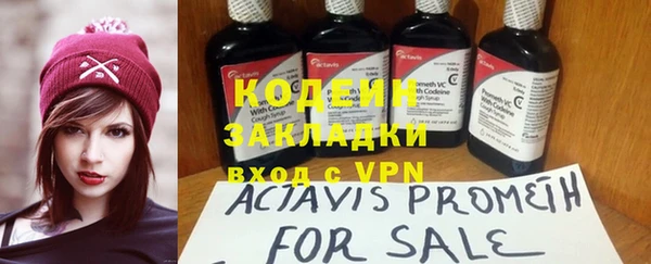 индика Баксан