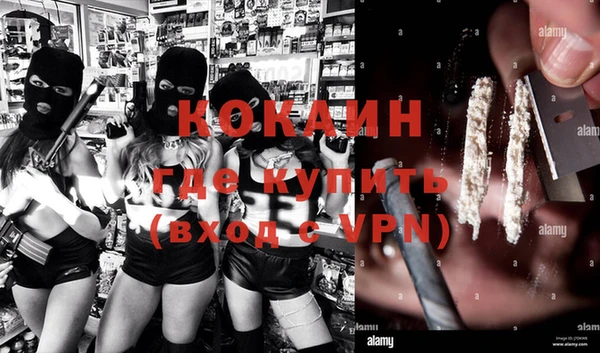 индика Баксан