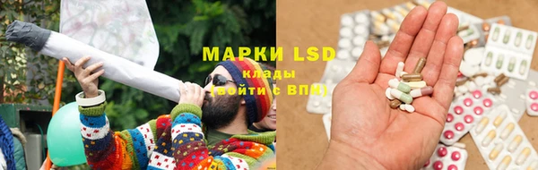 индика Баксан