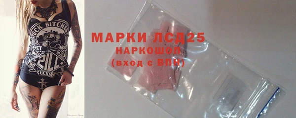 индика Баксан