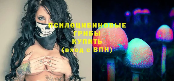 индика Баксан