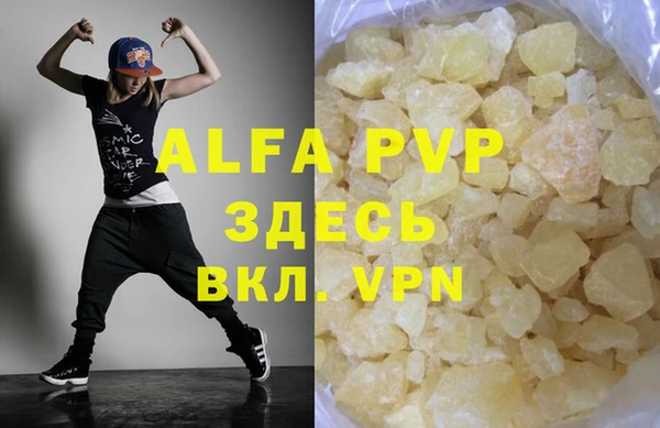 индика Баксан