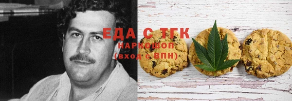 индика Баксан