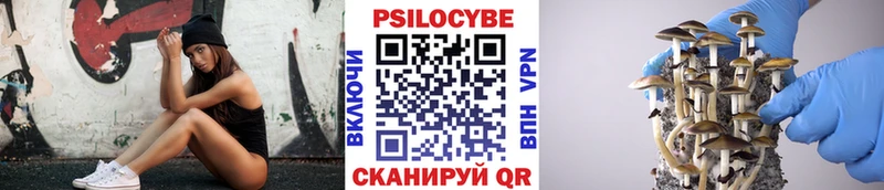 OMG онион  Болохово  Галлюциногенные грибы GOLDEN TEACHER 